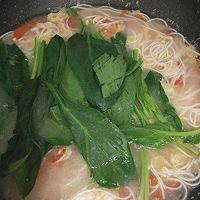 西红柿鸡蛋面的做法图解6