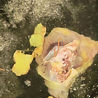 红酒烧鸭一点不油腻的做法图解3
