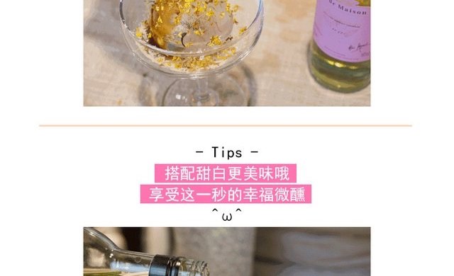 夏日甜品美酒果冰纷