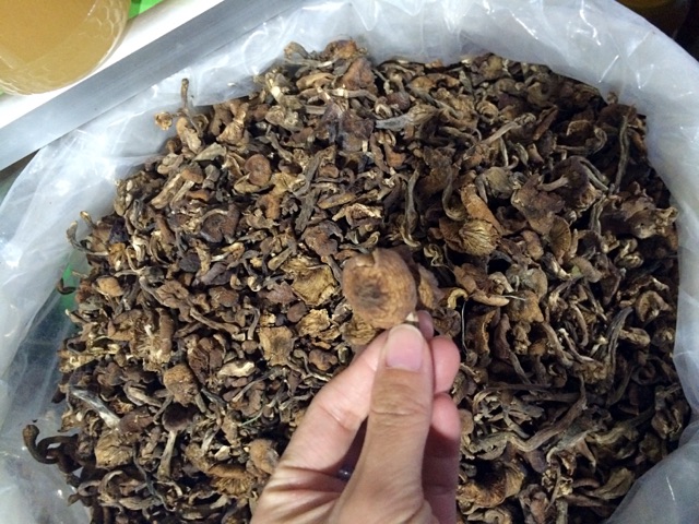 蘑菇炖土豆的做法图解1