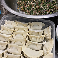 荠菜饺子、的做法图解3