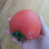 西红柿鸡蛋紫菜汤的做法图解2