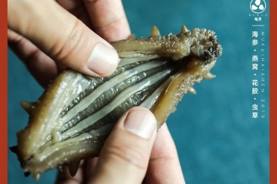 海参菌菇汤｜营养美味做法简单