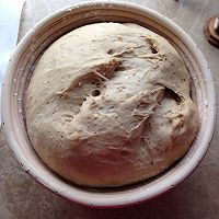 黑啤全麦面包Stout Bread（附Boule整型手法）的做法图解11