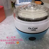 OZ COW自制酸奶的做法图解6