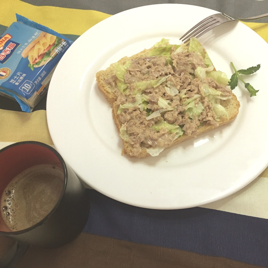 Tuna sandwich