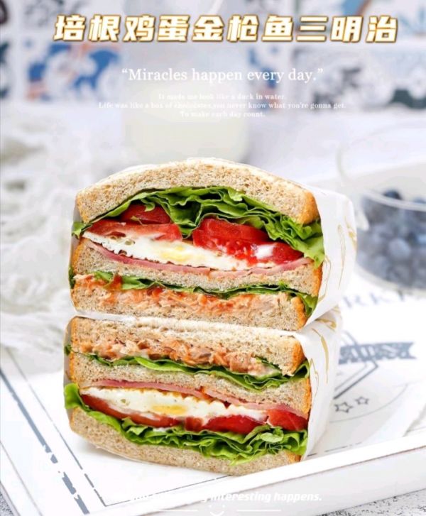 培根鸡蛋金枪鱼三明治