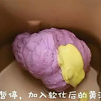 紫薯欧包 宝宝辅食食谱的做法图解12