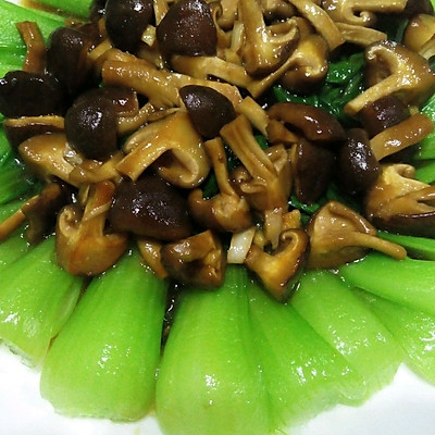 香菇排菜胆