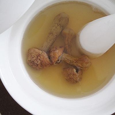 水松茸