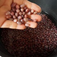 自制蜜红豆的做法图解7