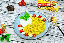 日式咖喱土豆鸡肉盖饭#奇妙咖喱，拯救萌娃食欲#的做法