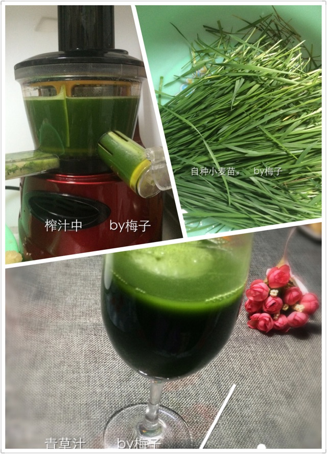小麦叶汁包子的做法图解1