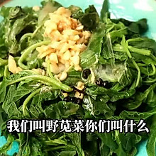 凉拌野菜，亲们可以试试！