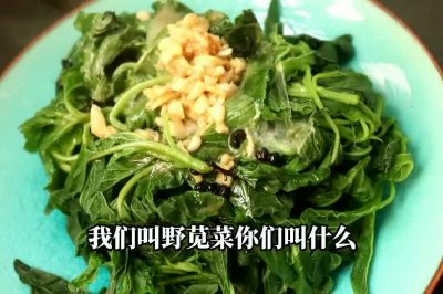 凉拌野菜，亲们可以试试！