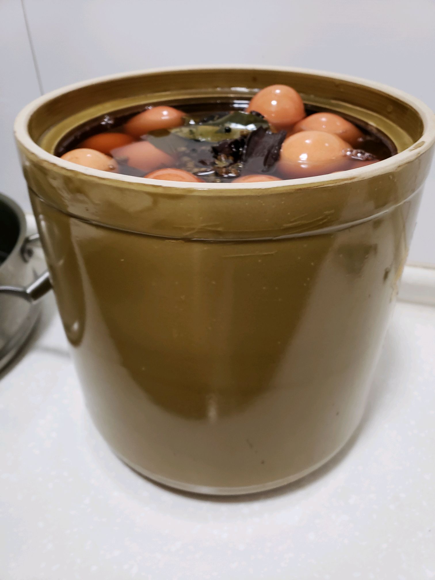 腌鹅蛋怎么做_腌鹅蛋的做法_豆果美食
