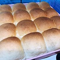 奶香肉松小餐包的做法图解13