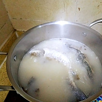 鲫鱼豆腐萝卜汤的做法图解6