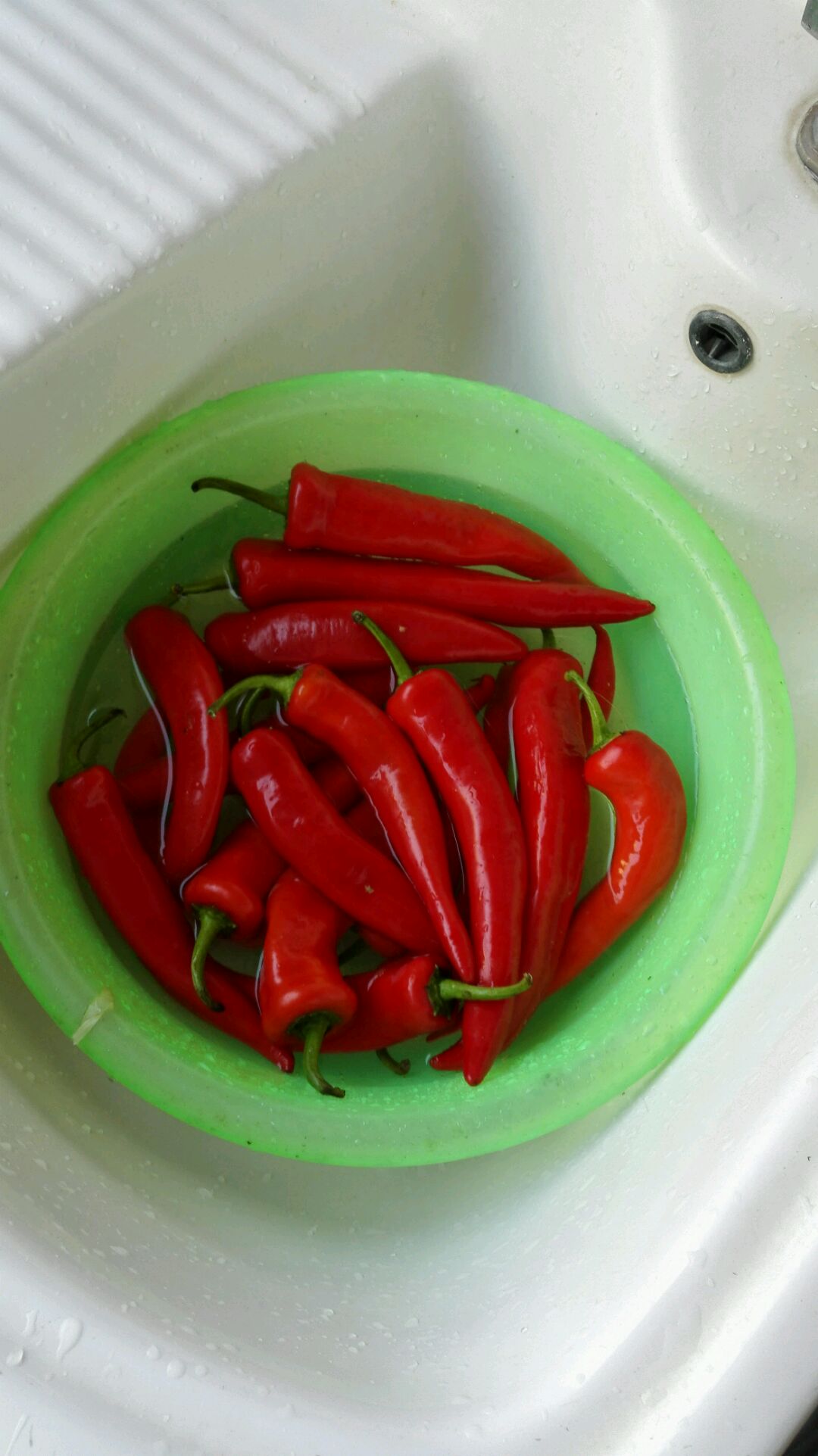辣椒怎么腌制好吃 又能放长时间不坏-又懂啦