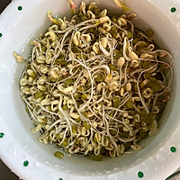 水培绿豆芽的做法图解2