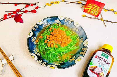 鲍汁蚝油豆苗