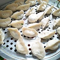 西葫芦饺子的做法图解7