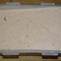 朗姆草莓冰淇淋——悠然一夏的做法图解12