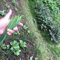 葱花鸡蛋饼的做法图解3