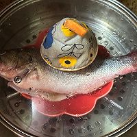 #减一点更好#减盐减脂无油的清蒸鲜活鲈鱼的做法图解4