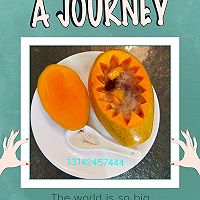 银耳红枣炖木瓜的做法图解5