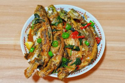 紫苏黄骨鱼
