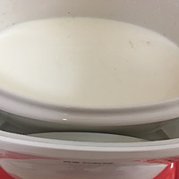 牛奶炖燕窝的做法图解4