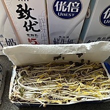 牛奶盒盒自发绿豆芽