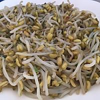 自种绿豆芽的做法图解6
