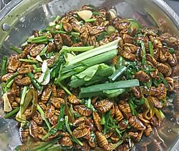 《韭菜炒蚕蛹》鲜嫩好吃,十块钱蚕蛹能炒一大盘子的做法