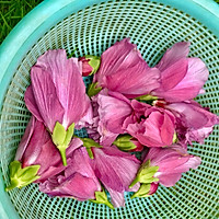 木槿面花的做法图解1