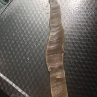 猪皮冻的做法图解4