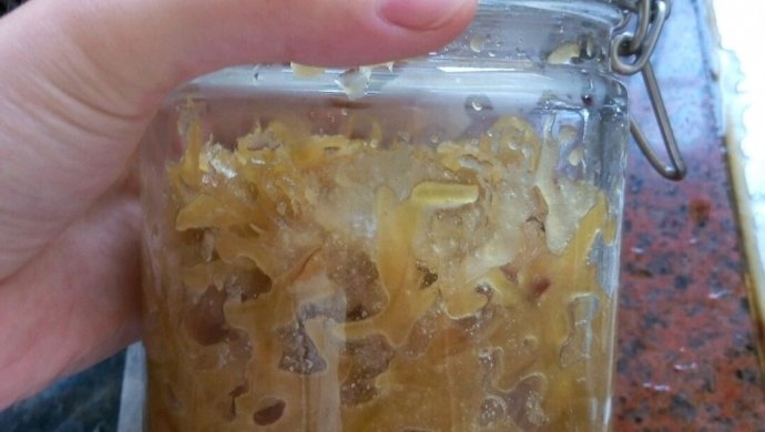 蜂蜜柚子茶原浆