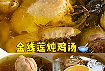 金线莲炖鸡汤的做法
