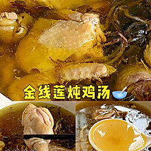 金线莲炖鸡汤