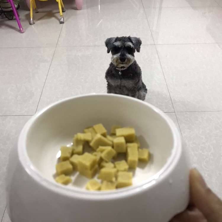 自制鸡肉狗粮的做法