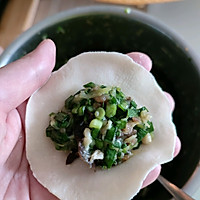 西葫芦木耳韭菜猪肉饺子的做法图解6