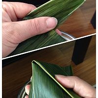 传统粽子的做法图解9