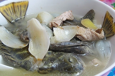 百合金鲴立鱼汤