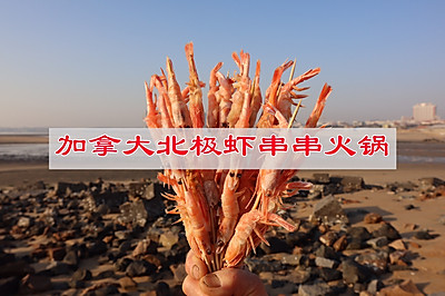 串串也可以这么吃，加拿大北极虾串串火锅