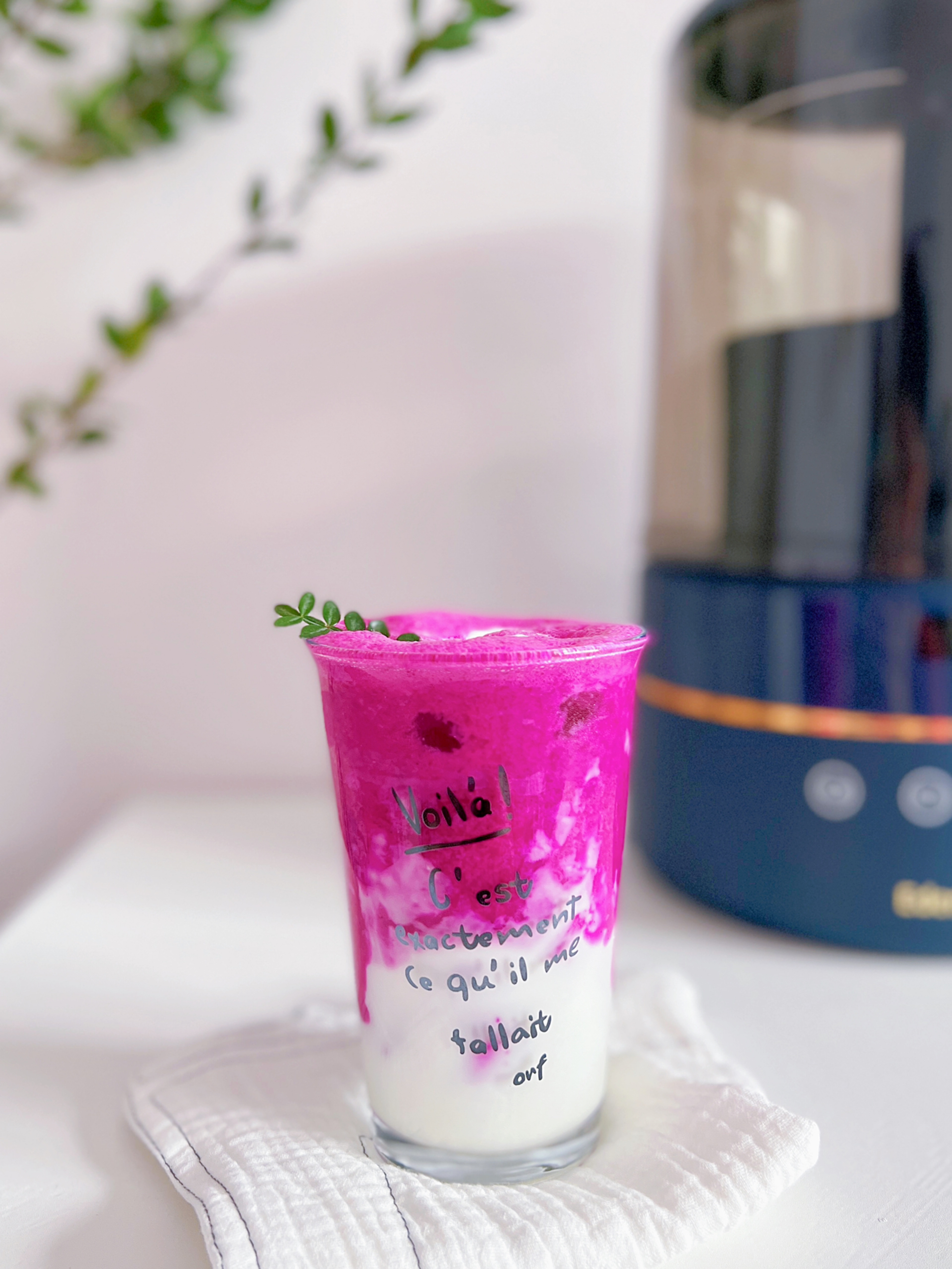 火龙果酸奶怎么做_火龙果酸奶的做法_豆果美食