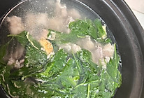 广东靓汤，枸杞叶瘦肉汤，懒人快手汤的做法