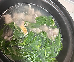 广东靓汤，枸杞叶瘦肉汤，懒人快手汤的做法