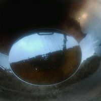 香辣田螺的做法图解3