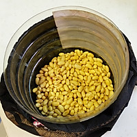 自制黄豆芽的做法图解2